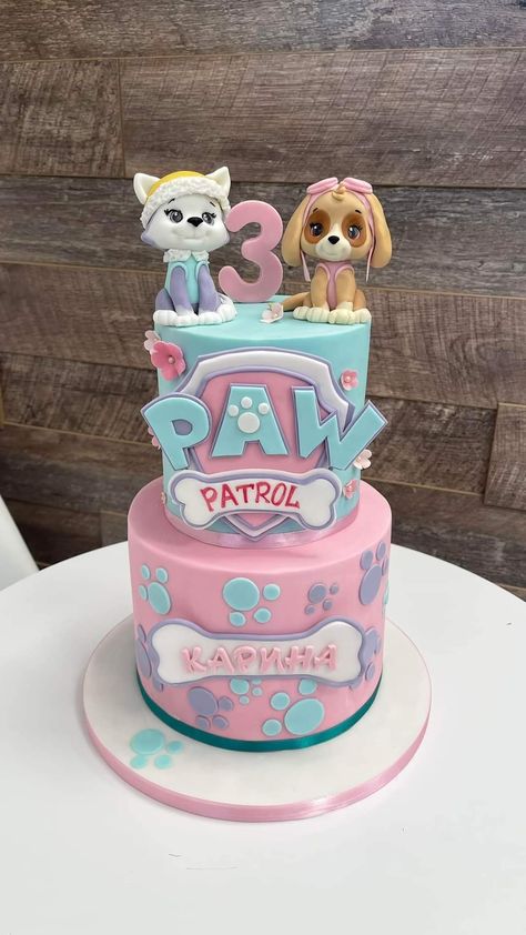 Skye Birthday Cake, Paw Patrol Birthday Cake Girl, Skye Birthday Party Paw Patrol, Paw Patrol Party Cake, Skye Cake, Skye Paw Patrol Cake, Paw Patrol Birthday Party Cake, Skye Birthday Party, Skye Paw Patrol Party