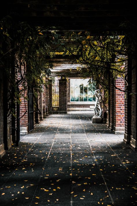 Brick Hallway, Photoshop Wallpapers, Blur Image Background, Hd Background Download, Brown Brick, Free Background Images, Free Download Photoshop, Studio Background Images, Photoshop Pics