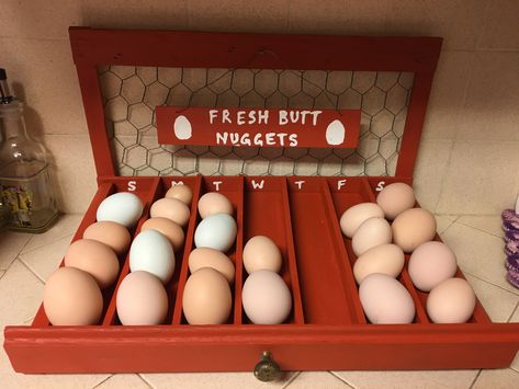 Chicken eggs organizer Egg Organizer Diy, Chicken Eggs Storage, Diy Egg Collecting Basket, Egg Organizer, Fresh Chicken Eggs Storage, Chicken Egg Organizer, Farm Egg Storage, Egg Skelter, Farm Fresh Egg Organizer