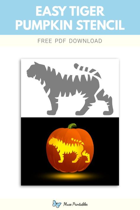 Free printable easy tiger stencil for pumpkin carving. Download it at https://museprintables.com/download/pumpkin-stencil/easy-tiger/ Tiger Pumpkin Carving, Tiger Pumpkin, Stencil For Pumpkin Carving, Tiger Stencil, Printable Pumpkin Stencils, Pumpkin Stencils Free, Pumpkin Carving Stencils, Halloween Pumpkin Carving Stencils, Carving Stencils