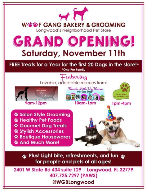 Don't miss our Grand Opening!!! Saturday, November 11! There will be adoption events, raffles, prizes, and free treats for a year rewarded to the first 20 dogs in the store!! See you then! 🐶🐾 #Woof #Gang #Bakery #Longwood #Florida Pet Store Grand Opening Ideas, Grand Opening Ideas, Store Grand Opening, Pet Care Business, Dog Grooming Shop, Dog Grooming Salons, Dog Diy, Dog Hotel, Grooming Shop