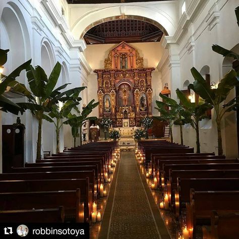 Always a pleasure to work with you! @robbinsotoya Will you marry me under a banana tree? Church Decor a la #robbinsotoya at the beautiful Santo Toribio Church in Cartagena, Colombia. #destinationweddings #bodasdedestimo #eventdesign #eventdecor #ceremony #love #joseysusy. Special thanks @anamtrujillo #gemapresente @doneloyeventos @alciradeguevara Colombian Wedding Venues, Wedding Cartagena, Iglesia Ni Cristo Wedding Decoration, Sofitel Cartagena Wedding, Mexican Style Wedding, Ancient Spanish Monastery Wedding, Wedding Color Schemes Blue, Mexican Themed Weddings, Dark Wedding Theme