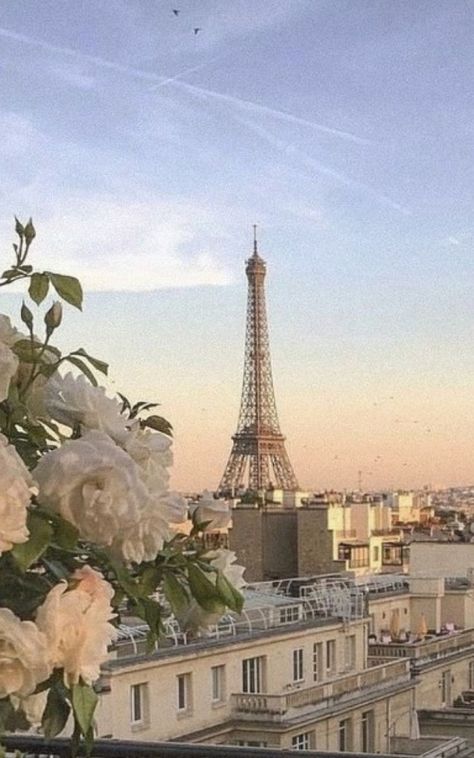 Paris Wallpaper, Paris Pictures, Paris Aesthetic, Pretty Landscapes, Where To Travel, Dog Wallpaper, Dream Travel Destinations, Aesthetic Images, City Aesthetic