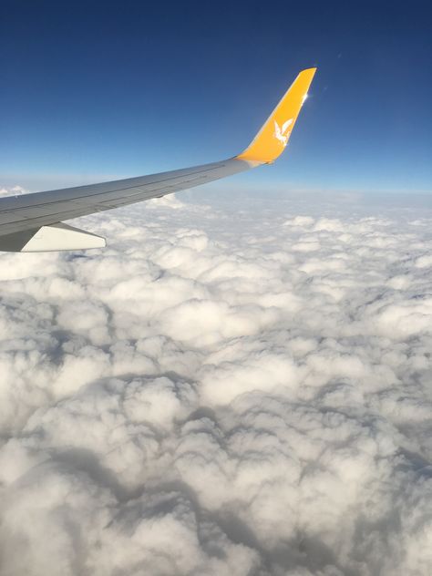 Pegasus airlines Pegasus Airlines, Dragon Wallpaper Iphone, Airplane Wallpaper, Emoji Wallpaper Iphone, Air Planes, Emoji Wallpaper, Pretty Wallpaper Iphone, Window Seat, Travel Aesthetic