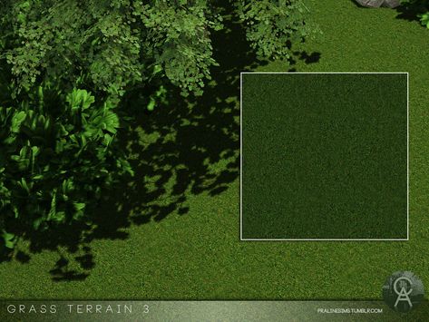 Pralinesims' Grass Terrain 3 Sims 4 Grass Terrain, Grass Cc Sims 4, Ts4 Terrain Cc, Sims 4 Grass Override, Sims 4 Grass Floor Cc, Sims 4 Grass Wall Cc, Sims 4 Terrain Cc, Sims 4 Cc Garden Plants, Sims 4 Landscaping Cc