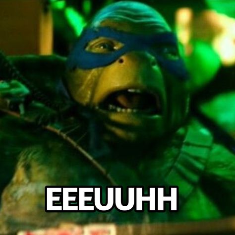 Tmnt Bayverse Leo, Bayverse Leo, Ninja Turtle Movie, Tmnt Movie 2016, 2014 Tmnt, Bayverse Tmnt, Tmnt Bayverse, Tmnt 2016, Turtle Movie