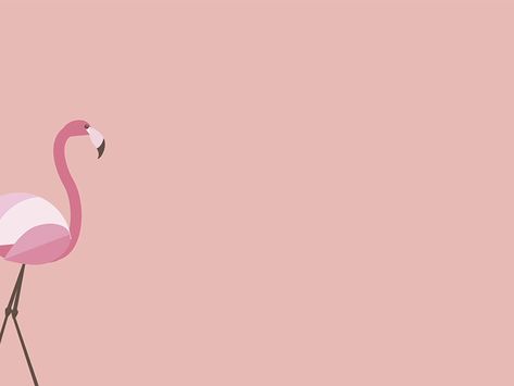 Tiffanys02 Flamingo Animation, Bird Flying Animation, Flamingo Flying, Pink Flamingo Illustration, Glitch Gif, Flamingo Graphic, Flamingo Illustration, Emotional Painting, Illustration Motion