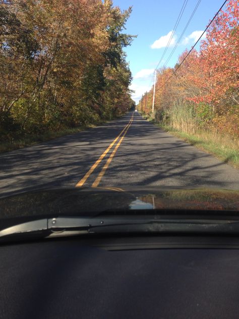 Love fall in New Jersey Fall In New Jersey, New Jersey Fall, Long Branch New Jersey, New Jersey Hoboken, Sea Bright New Jersey, Only In Your State New Jersey, Love Fall, New Jersey, Places Ive Been