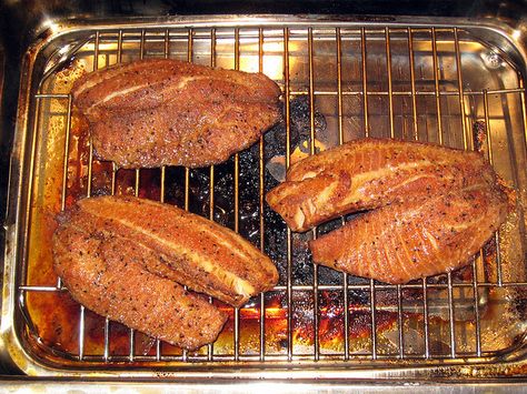 Smoked Tilapia Smoked Tilapia Recipes, Smoked Tilapia, Smoked Fish Recipe, Indoor Smoker, Smoker Ideas, Snapper Fish Recipes, Snapper Fish, Grilled Salmon Recipes, Meat Smoker