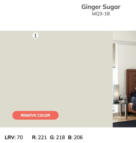 "Ginger Sugar" with the "Shipwreck" accent wall and white ceilings. Behr - Home Depot Agreeable Grey, Agreeable Gray, White Ceiling, Shipwreck, Office Walls, Accent Wall, Lighted Bathroom Mirror, Home Depot, Ginger