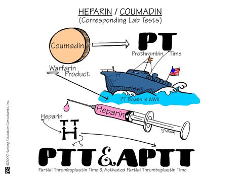 Heparin and Warfarin Nursing Pharmacology Mnemonics, Nursing Labs, Nursing Information, Nursing Mnemonics, Pharmacology Nursing, Nursing School Survival, Best Nursing Schools, Nursing School Studying, Nursing School Tips