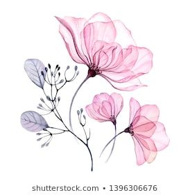 Aquarel Flower Images, Stock Photos & Vectors | Shutterstock Watercolor Flower Illustration, Transparent Flowers, Illustration Blume, Illustration Botanique, Stationery Printing, Watercolor Flower Art, Flower Art Images, Watercolor Flowers Paintings, Botanical Watercolor