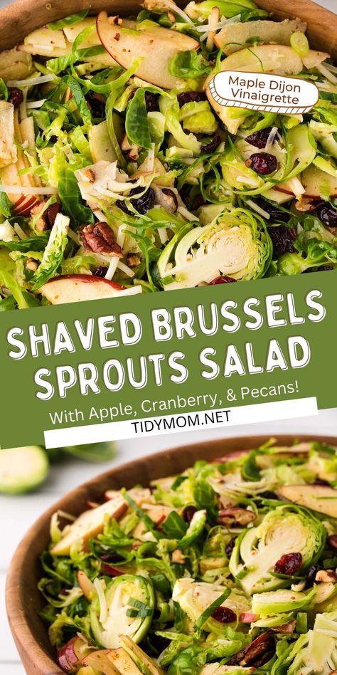 If Brussels sprouts salads aren’t on your radar yet, then you're in for a surprise! Combined with juicy apples, toasted pecans, tart cranberries, and maple dijon vinaigrette there’s no doubt why this shredded Brussels sprouts salad is all the rage. PRINTABLE RECIPE at TidyMom.net Shredded Brussels Sprouts Salad, Brussel Sprout Salad Recipes, Shredded Brussel Sprout Salad, Salad With Cranberries, Brussels Sprouts Salad, Winter Salad Recipes, Sliced Pears, Shredded Brussel Sprouts, Pecan Salad