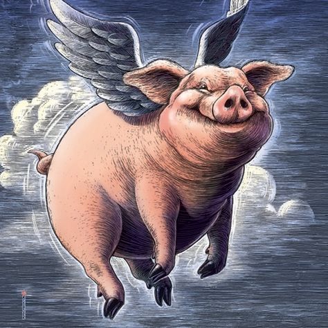 Flying Pig Illustration, Flying Pigs Art, Pig Images, Pig Pictures, Happy Pig, Pig Drawing, Pig Illustration, Pig Decor, Pig Art