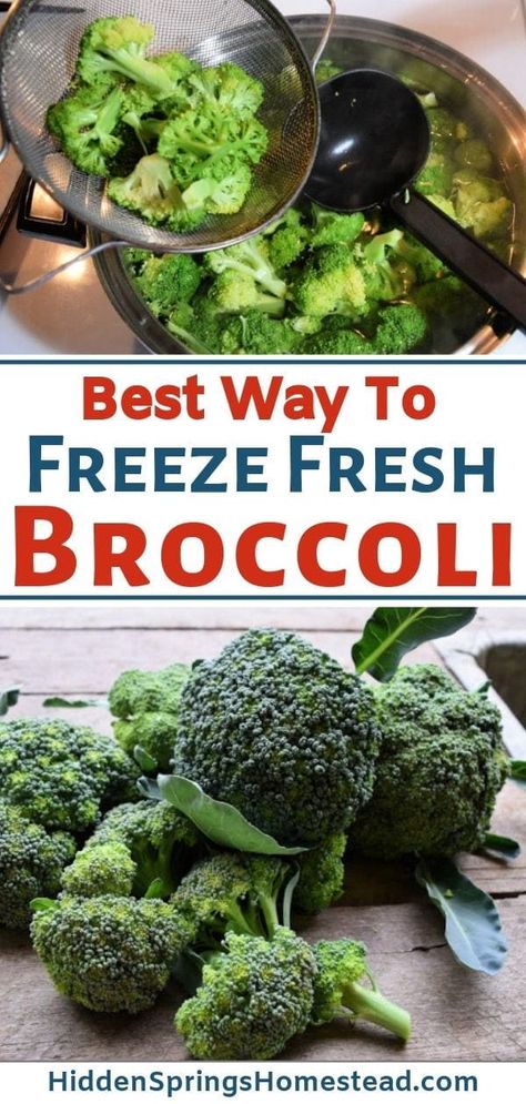 How To Freeze Broccoli, Freeze Broccoli, Blanching Broccoli, Food Alternatives, Freezing Vegetables, Freezing Fruit, Freezing Food, Frozen Broccoli, Fresh Broccoli