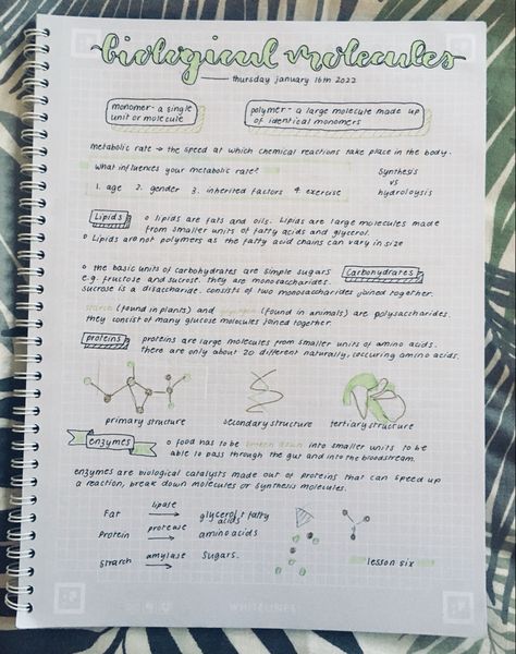 Notes School Aesthetic, Note Taking Ideas, Notes School, Notes Aesthetic, Effective Study Tips, Biology Notes, Pretty Notes, Chemical Reactions, School Aesthetic