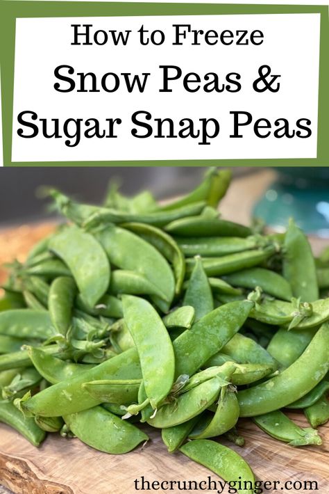 Snow Peas Recipes, Snow Pea Recipes, How To Freeze Peas, How To Cook Snow Peas, Frozen Snap Peas Recipe, Recipes Using Snow Peas, Freezer Vegetables, Freezing Peas, Freezing Peas From Garden