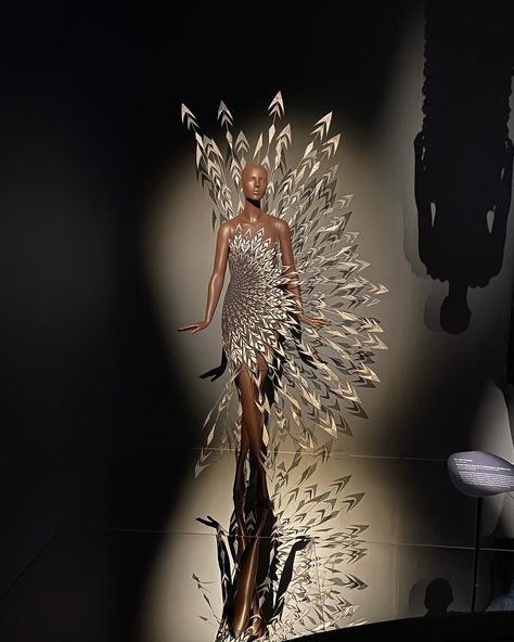 Iris Van Herpen Accessories, Iris Van Herpen Runway, Iris Van Herpen 2020, Iris Van Herpen Sketchbook, Art Mannequin, Marbling Art, Textiles Sketchbook, Iconic Outfits, Paris Store