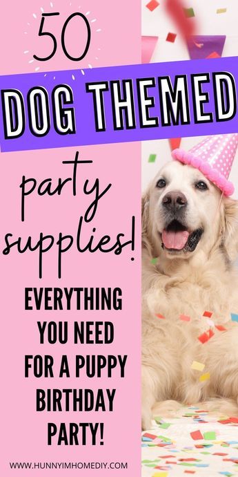 Dog Party Ideas Decoration 2nd Birthday, Dog Birthday Decorations Diy, Fiesta Dog Party, Puppy Dog Birthday Party Ideas, Birthday Party Themes For Dogs, Birthday Themes For Dogs, Senior Dog Birthday Party, Dog Birthday Decoration Ideas, Birthday Party For A Dog