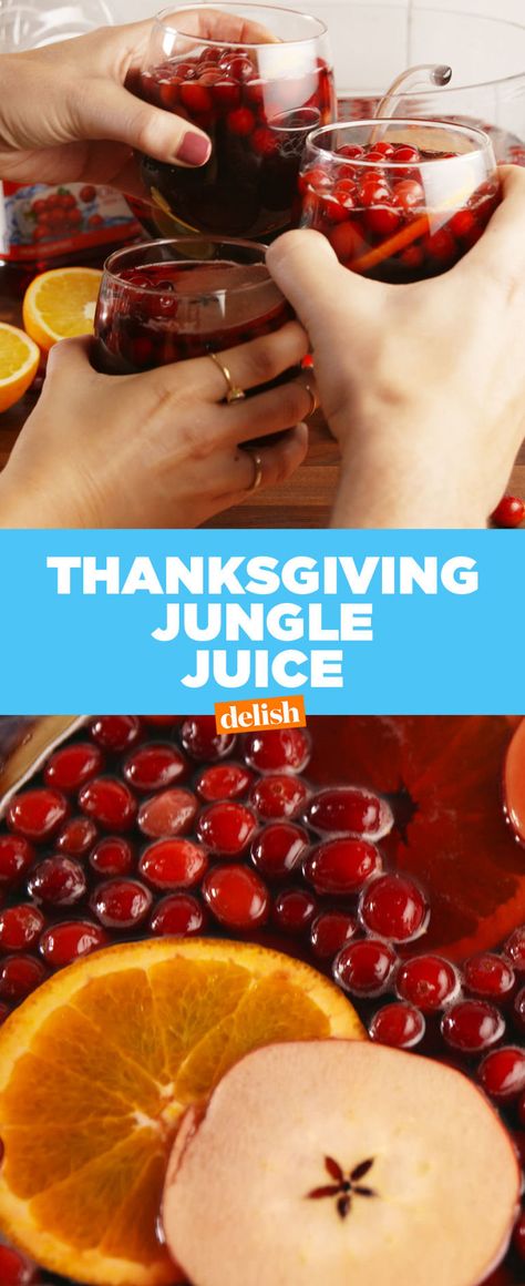 Serve Thanksgiving Jungle Juice With A Warning! Jungle Juice Recipe, Thanksgiving Drinks, Jungle Juice, Juice Fast, Juice Recipe, Christmas Brunch, Thanksgiving Menu, Holiday Drinks, Christmas Drinks