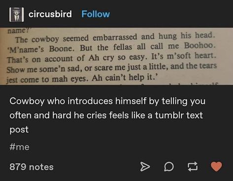 Cowboy Tumblr, What’s Going On, Text Posts, Tumblr Funny, Tumblr Posts, Make Me Happy, Writing Tips, Writing Prompts, Funny Stuff