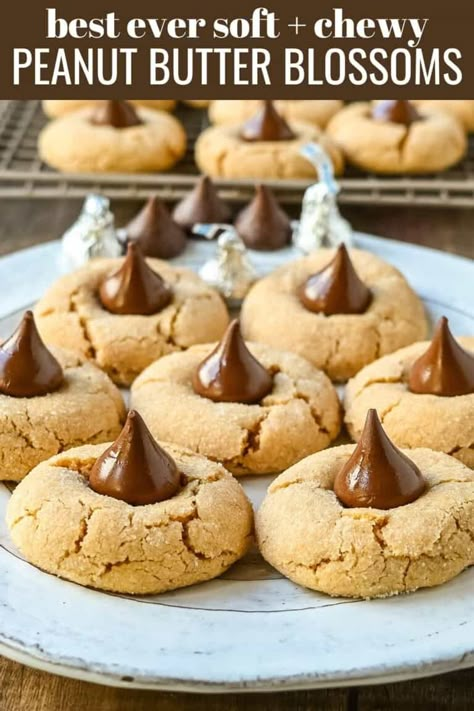 Peanut Blossom Cookies, Kiss Cookie Recipe, Peanut Butter Blossoms Recipe, Peanut Butter Kiss, Peanut Butter Blossom, Peanut Butter Kiss Cookies, Slow Roasted Italian, Peanut Blossoms, Butter Blossoms