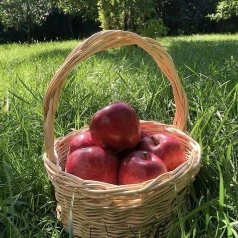 farmers daughter 🍎👢 #pintrest #girly The Farmer's Daughter Aesthetic, Farmer Daughter Aesthetic, Farmers Daughter Aesthetic Core, Juno Core Aesthetic, Farmers Aesthetic, Farmer Girl Aesthetic, Farmers Daughter Core, Stardew Layout, Farmer Aesthetic