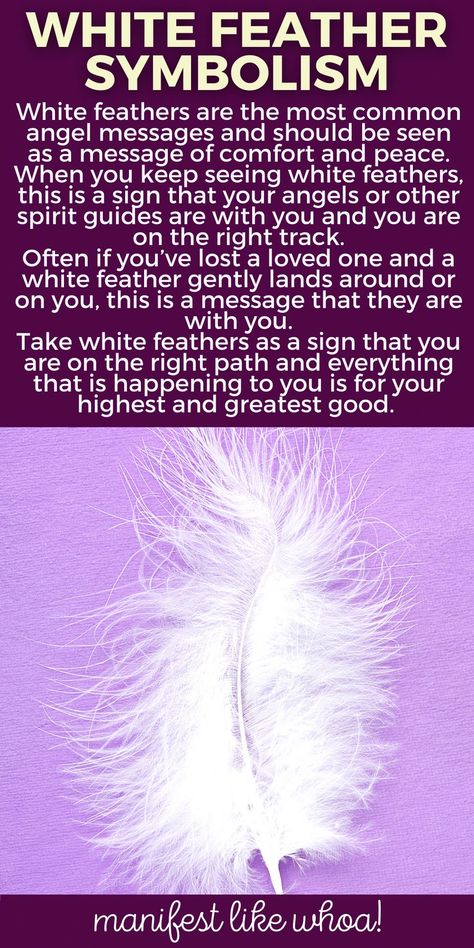 Manifesting Spells, Manifest Protection, White Feather Meaning, Feather Color Meaning, Feather Magic, A Sign From The Universe, Spiritual Signs, Sign From The Universe, Feather Symbolism