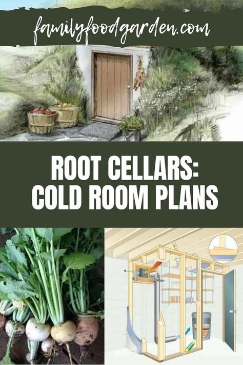 Basement Root Cellar, Underground Root Cellar, Root Cellar Plans, Root Cellar Storage, Root Cellars, Storage Rooms, Homesteading Diy, Root Cellar, Living Roofs