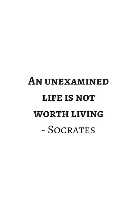 Greek Philosophy Quotes, Quotes Socrates, Philosophy Poster, Quotation Mark, Quotes Greek, Empathy Quotes, Socrates Quotes, Aristotle Quotes, Greek Philosophy