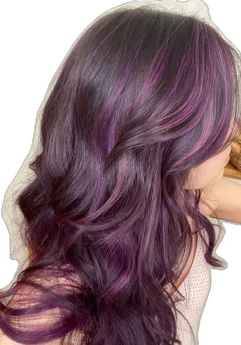 Grape Violet Hair Color, Purple In Brown Hair, Violet Highlights On Dark Hair, Purple Hair Highlights Brown, Purple Highlights On Brown Hair, Grape Hair Color, Plum Balayage Hair, Grape Purple Hair, Purple Highlights In Brown Hair