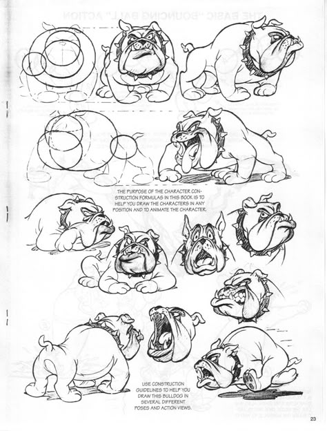 Preston Blair, Bulldog Drawing, 3d Animator, Traditional Animation, Cartoon Pencil, Cartoon Cartoon, Baby Animal Prints, Model Sheet, Cartoon Animation