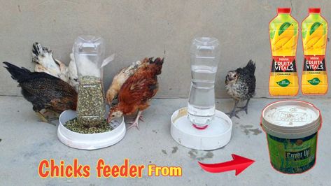 How to make Chicks feeder At home .  DIY chicks feeder Diy Chick Feeders And Waterers, Chick Waterer Diy, Diy Chick Waterer, Chicken Feeders, Chicken Cages, Small Chicken, Diy Water, Chicken Diy, Baby Chicks