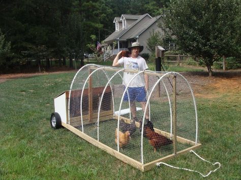 Reban Ayam, Cute Chicken Coops, Chicken Coop Garden, Portable Chicken Coop, Backyard Chicken Coop Plans, Chicken Pen, Chicken Tractors, Diy Chicken Coop Plans, Chicken Coop Run