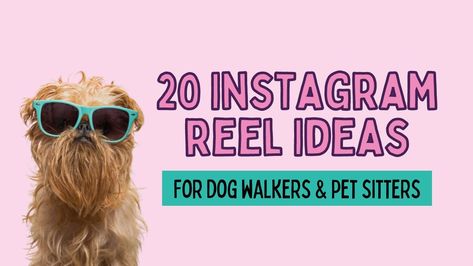 Instagram reel ideas for dog walkers and petsitters Dog Walker Instagram, Dog Walker Quotes, Dog Brands, Instagram Reel Ideas, Pet Sitting Business, Dog Walking Business, Pet Sitting Services, Photo Sharing App, Reel Ideas