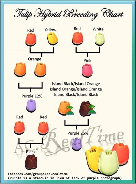 Tulip Breeding Acnh, Acnh Balloon Colors Guide, Animal Crossing Flower Guide, Acnh Flowers, Acnh Guide, Animal Crossing Hair, Acnh Tips, Nintendo Switch Animal Crossing, Pink Island