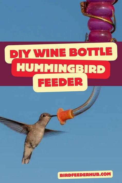 Did you know you can save your leftover wine bottles to make hummingbird feeder? It's easy to make these unique looking feeders, and easy to jazz them up with your own customizations. Follow our easy guide for this fun DIY project. Hummingbird Feeder Diy, Diy Hummingbird Feeder, Diy Wine Bottle, Leftover Wine, Simple Diy Projects, Hummingbird Feeder, Diy Birds, Wine Bottle Diy, Humming Bird Feeders