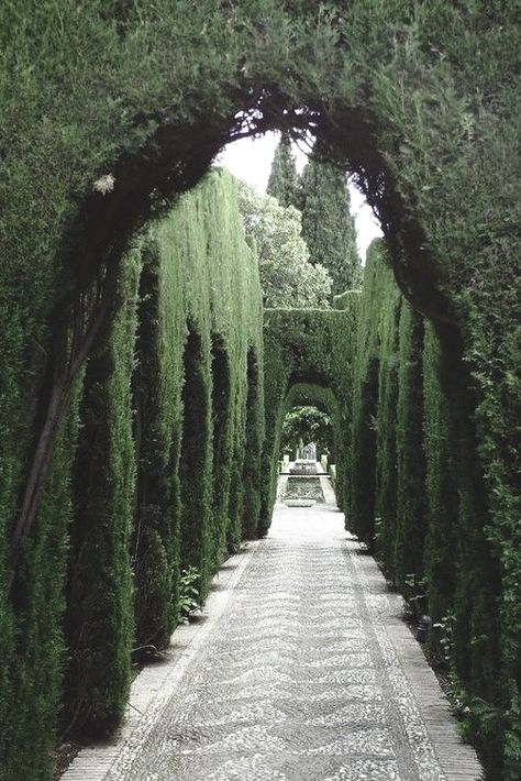 Hedge Driveway, Era Victoria, Brick Path, Garden Designs, Green Trees, Nature Aesthetic, Pretty Places, Dream Garden, Walkway