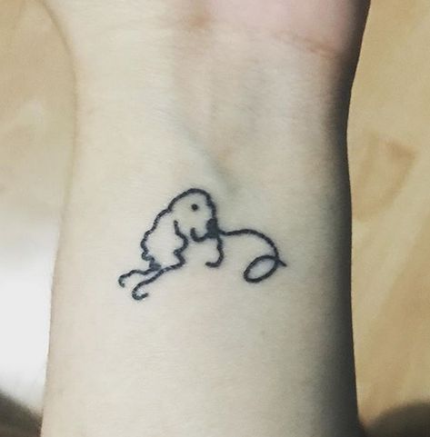 14 Memorial Tattoo Ideas For Cocker Spaniel Owners | Page 2 of 3 | PetPress Cocker Spaniel Tattoo Small, Cocker Spaniel Ear Outline Tattoo, Cocker Spaniel Line Tattoo, English Cocker Spaniel Tattoo, Cocker Spaniel Ears Tattoo, Spaniel Outline Tattoo, Cocker Spaniel Tattoo Minimalist, Cocker Spaniel Outline, Koker Spaniel