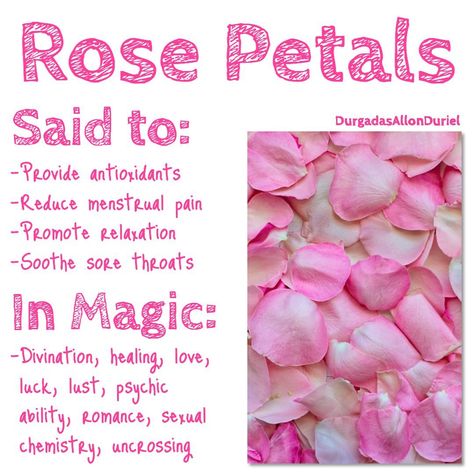 Rose Petal Uses, Magick Herbs, Eclectic Witchcraft, Sooth Sore Throat, Magickal Herbs, Witch Herbs, Magic Herbs, Magical Herbs, Wiccan Spell Book