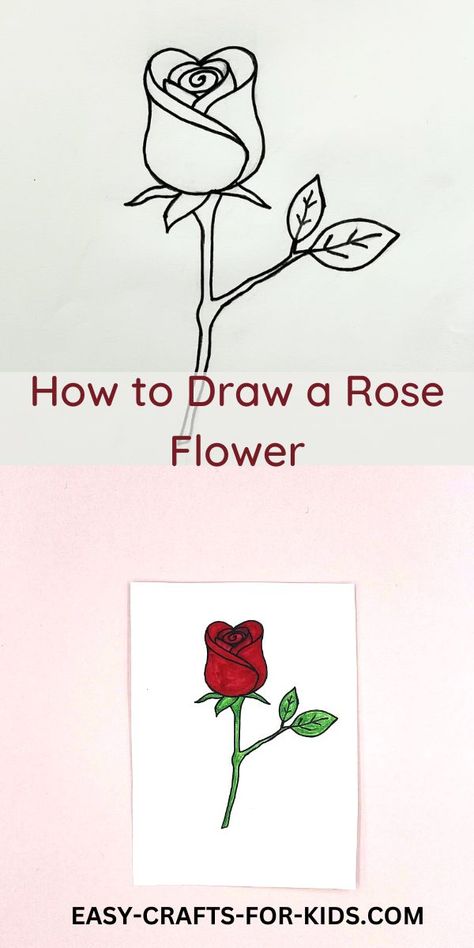 How to Draw a Rose Flower – Realistic Rose Drawing - Easy Crafts For Kids Realistic Rose Drawing, Rose Drawing Simple, Draw A Rose, Realistic Rose, Drawing Simple, Simple Rose, Rose Drawing, Drawing Easy, Beautiful Rose Flowers