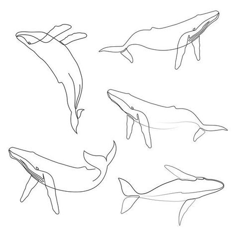 Whale Line Tattoo, Simple Whale Tattoo, Whale Line Art, Whale Sketch, Line Art Tattoo, Whale Drawing, Helmet Art, Cute Simple Tattoos, Simple Tattoos For Guys