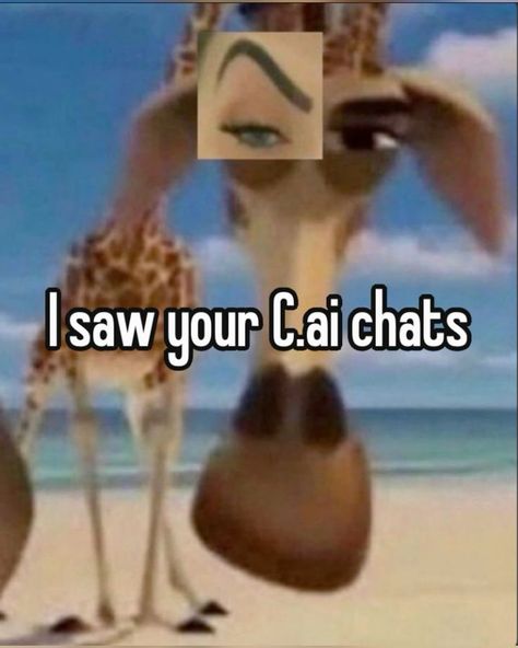 Funny Cai Chats, Cai Chats, Movie Fast And Furious, Bad Humor, Funny Dog Photos, Sonic Funny, Goofy Pictures, I Dont Have Friends, Whisper Funny