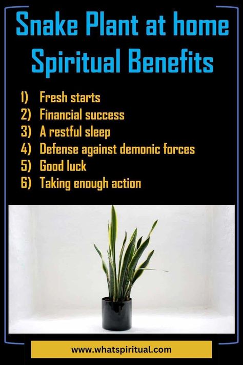 Snake Plant Meanings, Spiritual Benefits & Symbolism 2 Plant Meanings, Cycle Of Life, Energy Flow, Spiritual Meaning, Spiritual Connection, The Snake, Snake Plant, Spiritual Practices, Financial Success