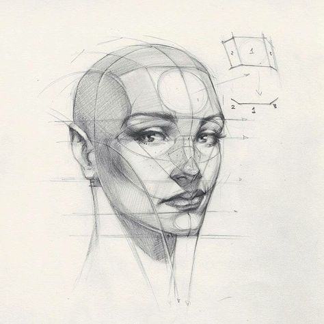 Facial structure reference, drawing, sketch head face example. shading face Reilly Head, Imagination Illustration, Drawing Proportions, Portrait Au Crayon, Neck Drawing, Draw Portrait, Face Proportions, Draw Human, Human Anatomy Drawing