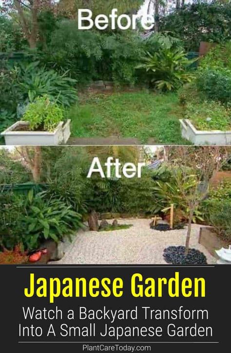 When faced with a postage stamp backyard many homeowners think they have few options. A small Japanese garden design doesn't even... [READ MORE Small Japanese Garden Ideas, Diy Japanese Garden, Japanese Backyard, Japanese Garden Style, Japanese Garden Backyard, Japanese Inspired Garden, Japanese Garden Decor, Beautiful Japanese Gardens, Japanese Rock Garden