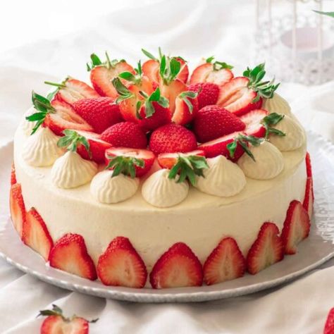 Japanese Strawberry Shortcake Recipe - SugarYums Japanese Strawberry Shortcake, Recipes Fancy, Japanese Christmas Cake, Christmas Cakes Easy, Strawberry Bread, Strawberry Shortcake Recipes, Shortcake Recipe, Homemade Whipped Cream, Holiday Cakes