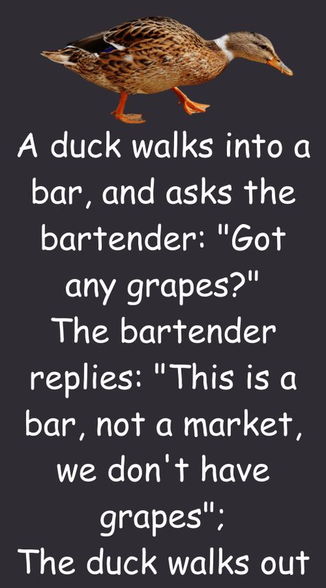 A duck walks into a bar, and asks the bartender - Abhinay Narayan Singh Jokes English Funny, Very Funny Jokes In English Short, Clean Funny Jokes Hilarious, Funny Adult Jokes Hilarious Humor, Latest Funny Jokes In English, Best Funny Jokes In English, Work Jokes Hilarious, Really Funny Jokes To Tell, Short Jokes Hilarious