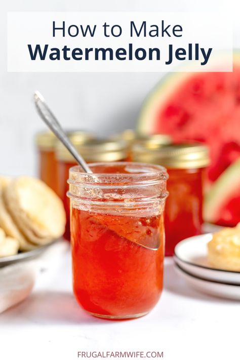 How to Make Watermelon Jelly (Step-by-Step) - The Frugal Farm Wife Watermelon Jam Recipe, Wild Plum Jelly Recipe, Watermelon Jelly Recipe, Watermelon Jam, Watermelon Juice Recipe, Canning Jam Recipes, Watermelon Jelly, Canning 101, Fruit Watermelon