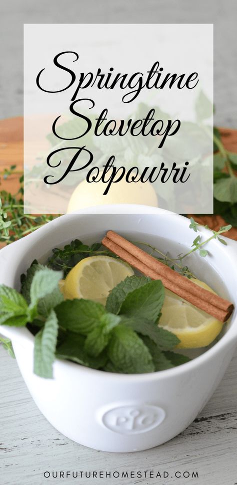 Citrus Potpourri, Spring Potpourri, Simmer Pot Recipes, Potpourri Recipes, Home Smell, Spring Scents, Stovetop Potpourri, House Smells, Growing Herbs